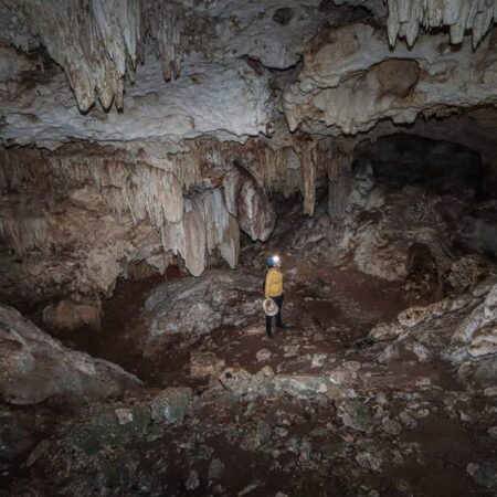 “Caravana por la Selva y el Agua” expone 70 cavernas en peligro por el Tren Maya – El Sol de Puebla