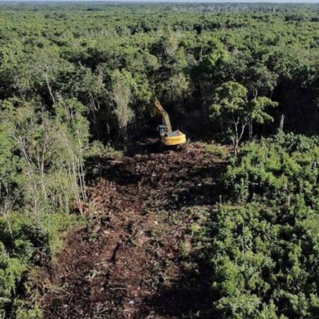 Crece patrimonio de Fonatur Tren Maya al comprar 9 propiedades – El Sol de Puebla