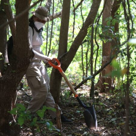 Hallan fosa clandestina con cinco cuerpos en Uruapan, Michoacán – El Sol de Puebla