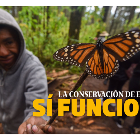 La conservación de especies sí funciona – El Sol de Puebla