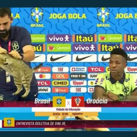 Un gato se coló a la conferencia de Vinicius y fue “echado” por el jefe de prensa de Brasil (Video) – El Sol de Puebla