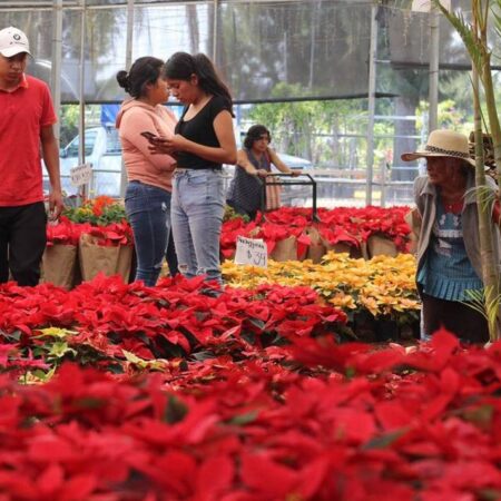 ¡Vamos! Expo Navidad 2022 en el Centro de Convenciones – El Sol de Puebla