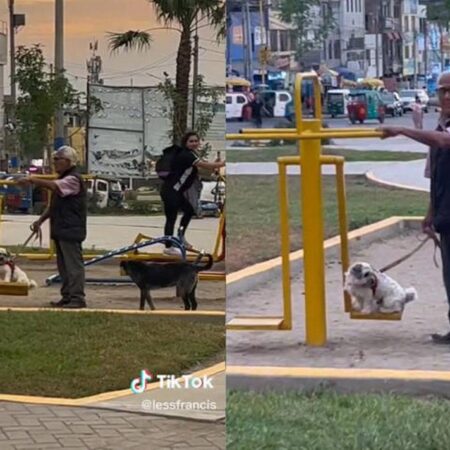 Abuelito lleva a su perrito a columpiarse al parque y enternece a las redes [Video] – El Sol de Puebla