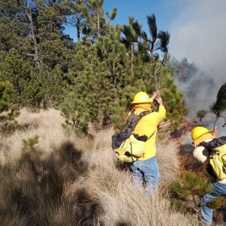 En 2022 hubo 320 incendios forestales en Puebla – El Sol de Puebla