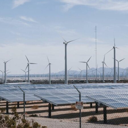 Árabes van por energías limpias – El Sol de Puebla