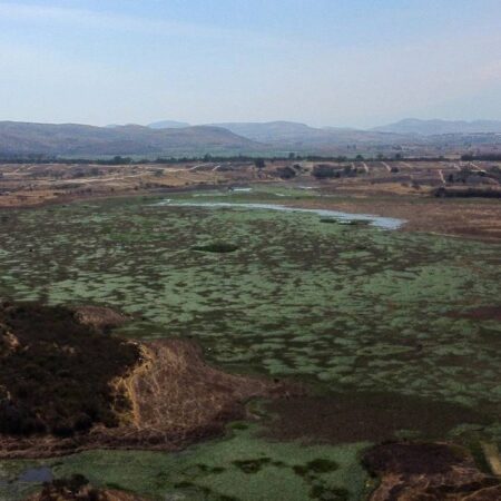 Humedal de Valsequillo, una gran ‘planta tratadora natural de aguas’ – El Sol de Puebla