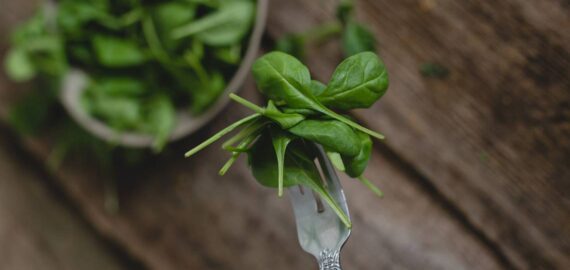 Incluir espinacas en tu dieta fortalece los músculos según investigadores – El Sol de Puebla