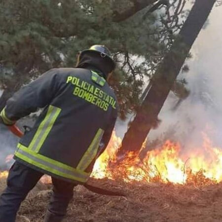 Se registran cuatro incendios forestales en abril – El Sol de Puebla
