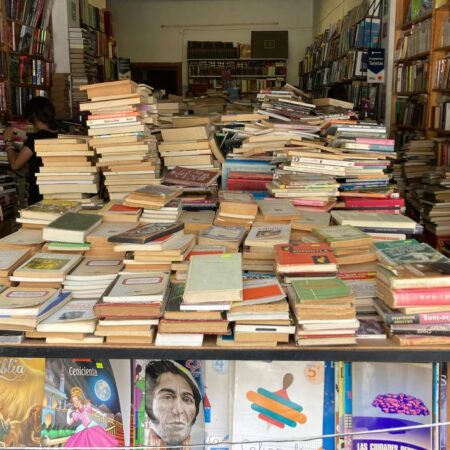 Bazares de libros: una estira y afloja con los lectores – El Sol de Puebla