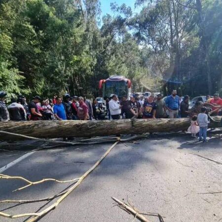 Caída de un árbol colapsa la México-Toluca – El Sol de Puebla