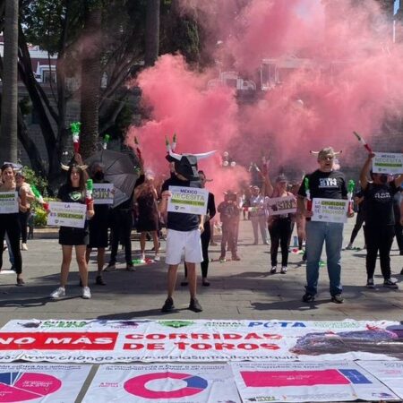 Movimiento Animalista: Puebla no es taurina – El Sol de Puebla