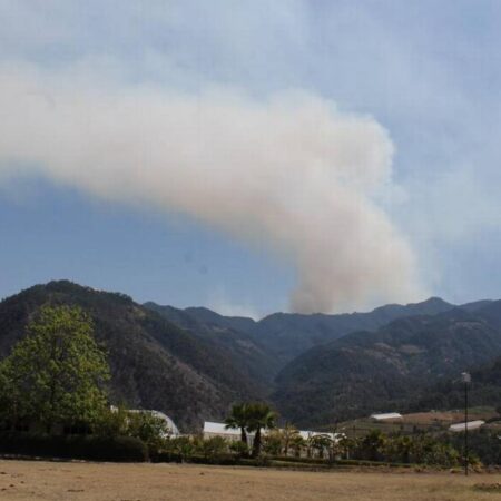 ¿Qué municipios de Puebla reportan más incendios forestales en 2023? – El Sol de Puebla