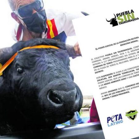 Colectivo Puebla sin Tauromaquia celebra cancelación de corridas de toros en la Feria – El Sol de Puebla