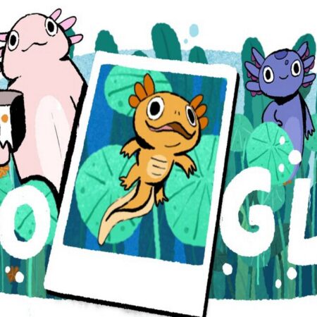 Google homenajea al ajolote del Lago de Xochimilco con un Doodle interactivo – El Sol de Puebla