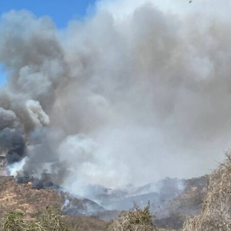 Hay en Guerrero cuatro incendios forestales activos – El Sol de Puebla