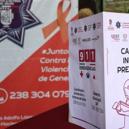 Presenta gobierno de Tehuacán cartilla infantil preventiva – El Sol de Puebla