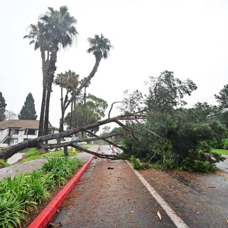 Tormenta tropical Hilary desata lluvias récord en California – El Sol de Puebla