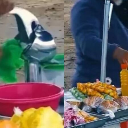 Denuncian a vendedora de jugos por rellenar botellas con trapo mojado [Video] – El Sol de Puebla