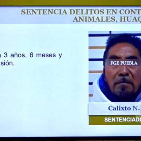 Hombre asesina a tiros a perra en venganza por haber matado a su gata – El Sol de Puebla